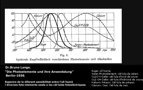 Dr. Bruno Lange Diagrama